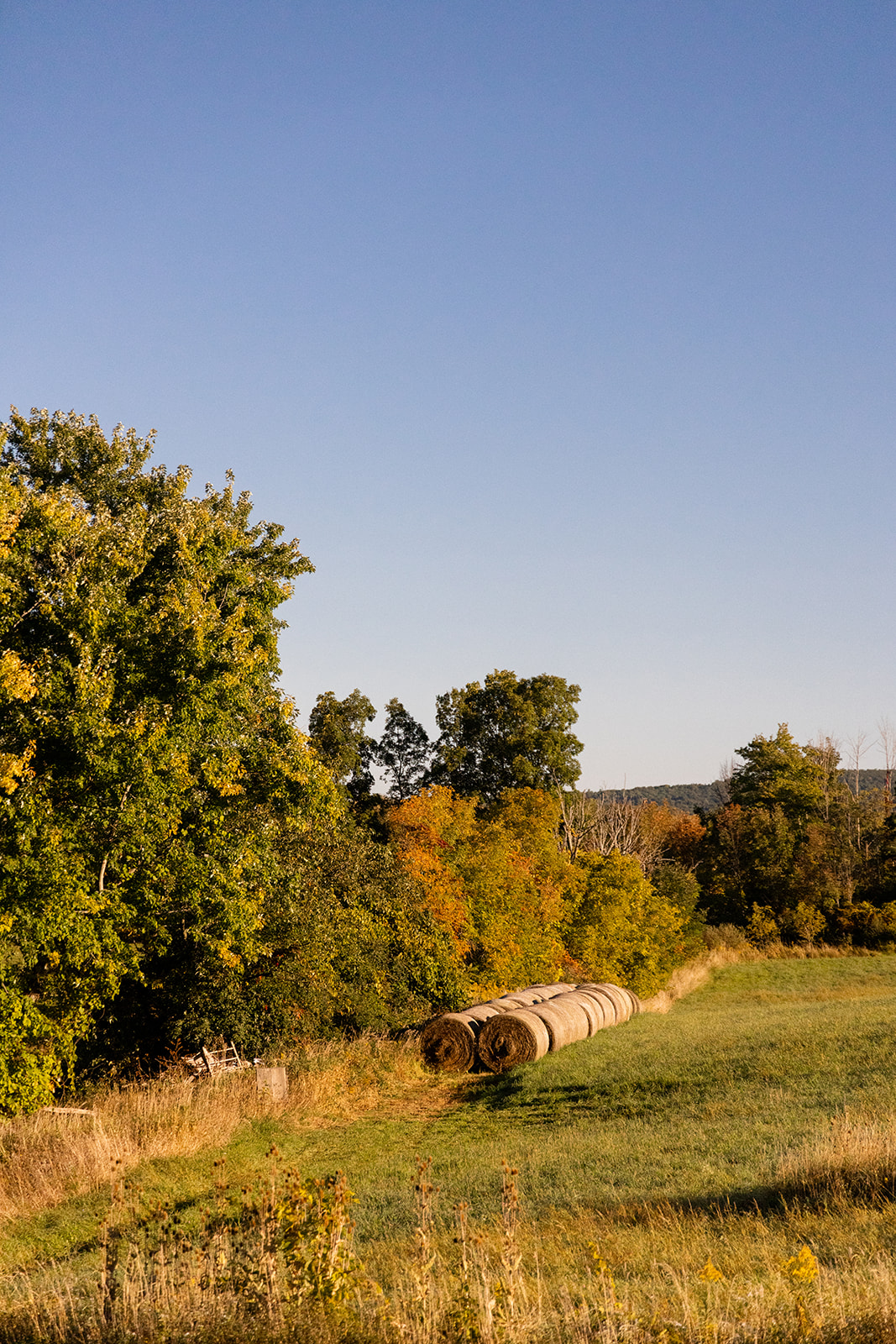 The Schoolhouse at FLX Escapes, Finger Lakes NY: Stay 3 of The Journey - Jada And David Parrish