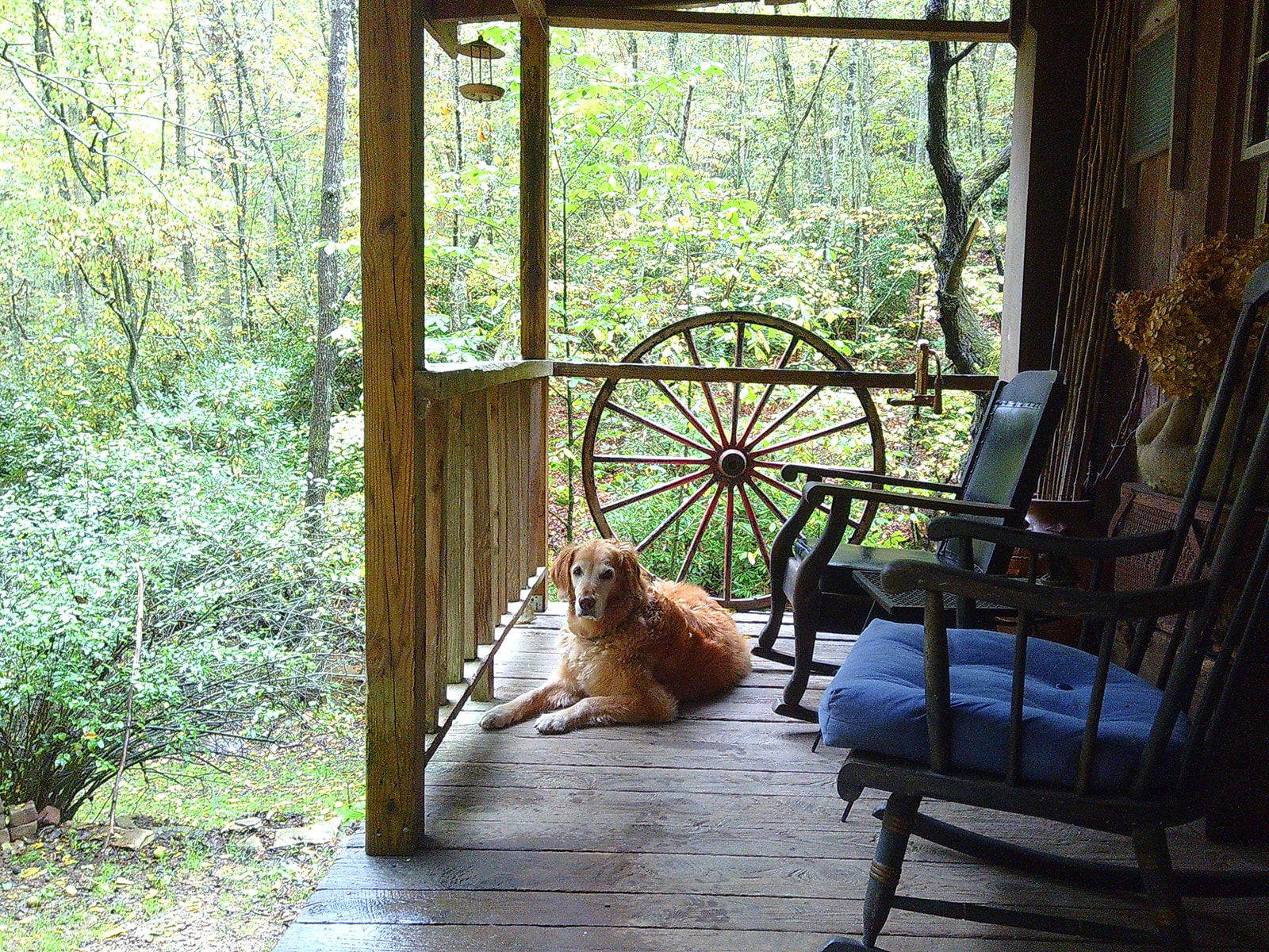 Disconnecting to Reconnect: My Weekend with the Camp Snap Camera - Jada And David Parrish