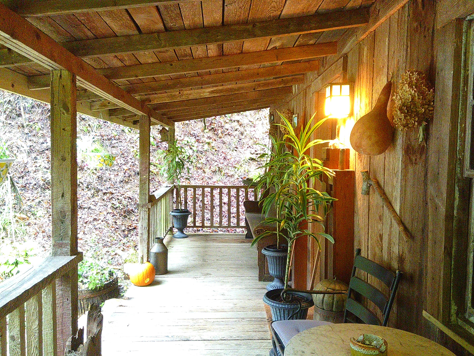 Disconnecting to Reconnect: My Weekend with the Camp Snap Camera - Jada And David Parrish