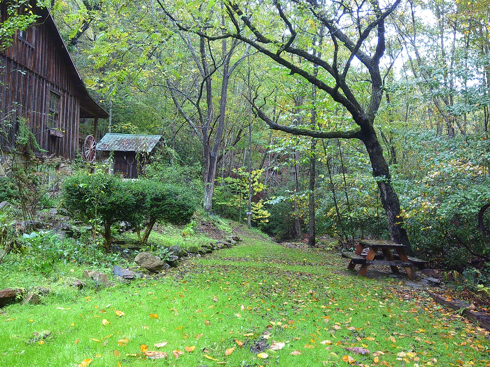 Disconnecting to Reconnect: My Weekend with the Camp Snap Camera - Jada And David Parrish