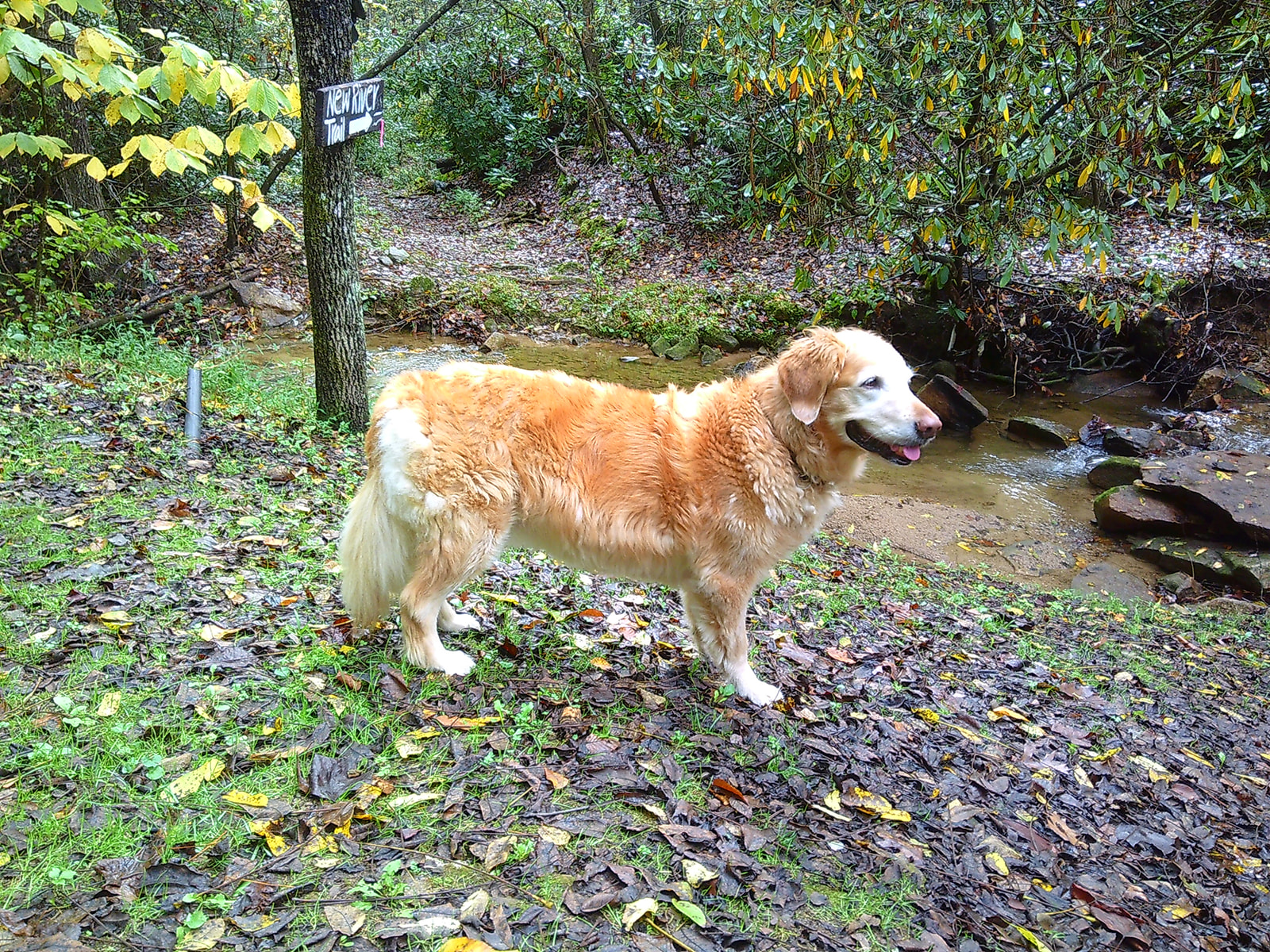 Disconnecting to Reconnect: My Weekend with the Camp Snap Camera - Jada And David Parrish