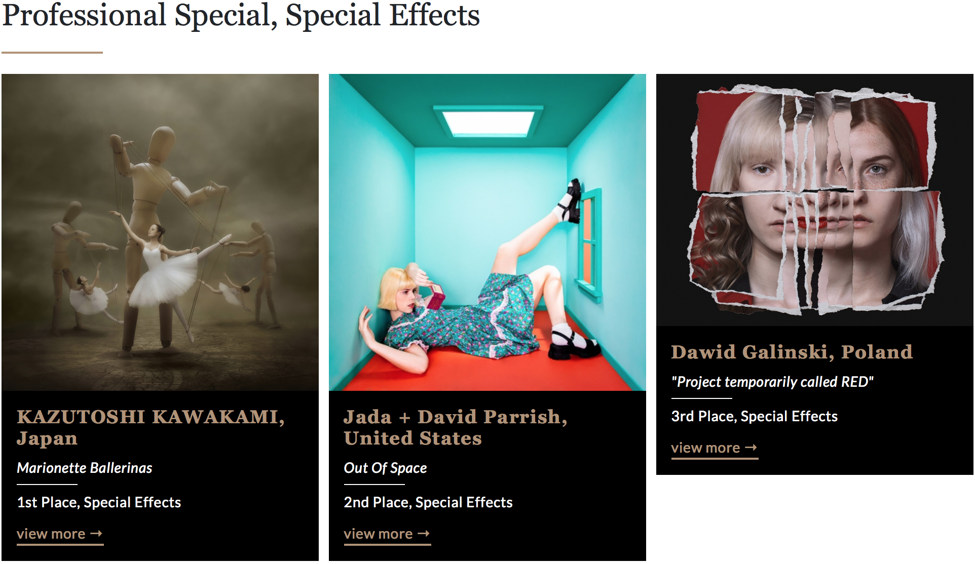 We Won! Second Place Winners in the International Photography Awards - Jada And David Parrish